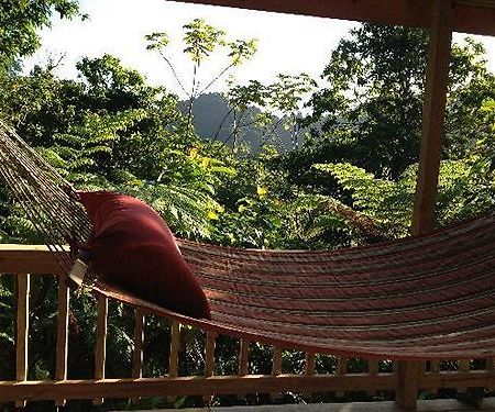 Roots Jungle Retreat Villa Marigot Dış mekan fotoğraf