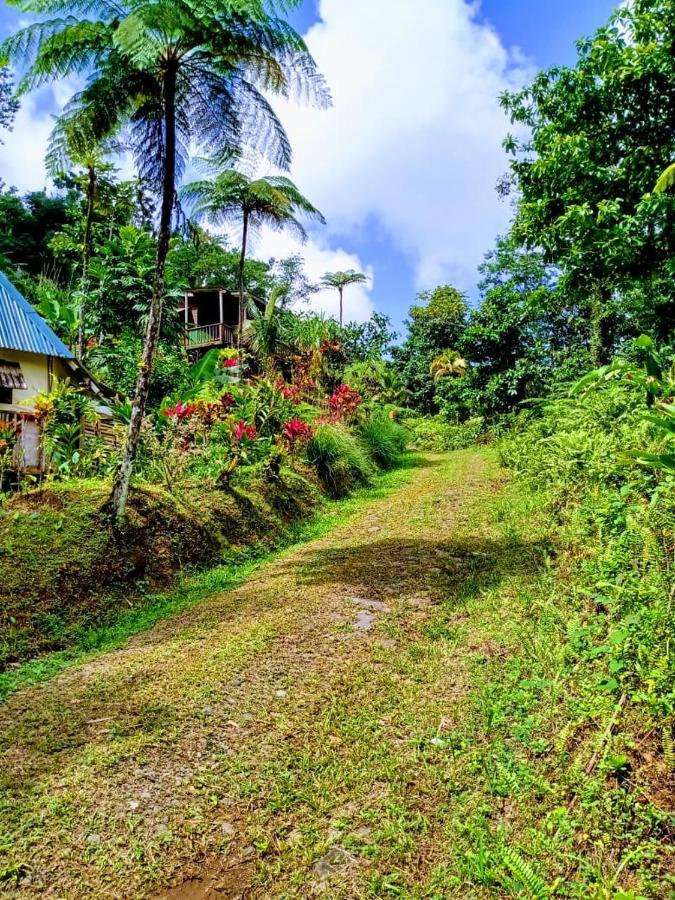 Roots Jungle Retreat Villa Marigot Dış mekan fotoğraf