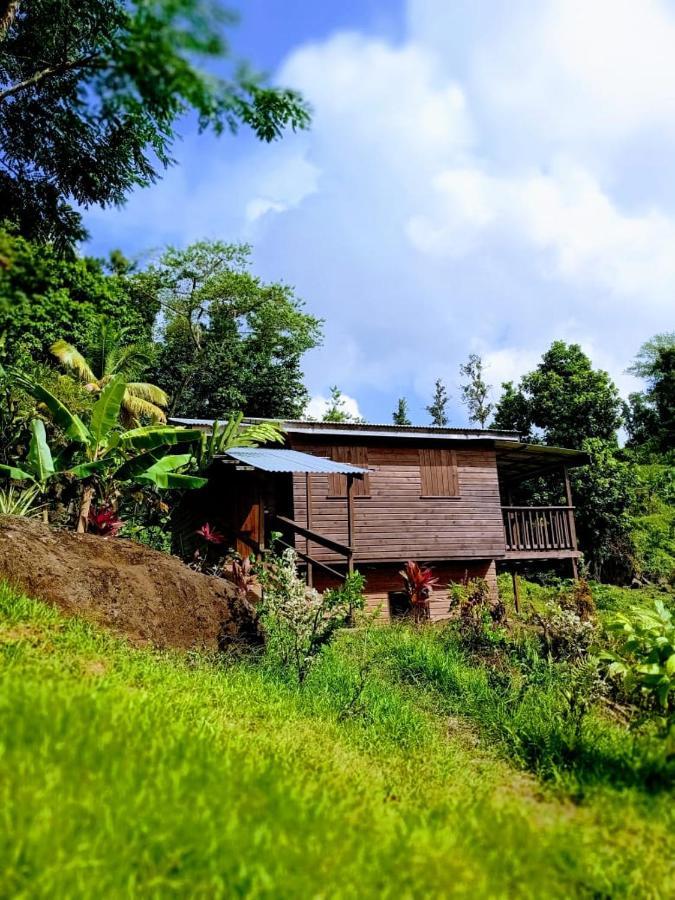 Roots Jungle Retreat Villa Marigot Dış mekan fotoğraf