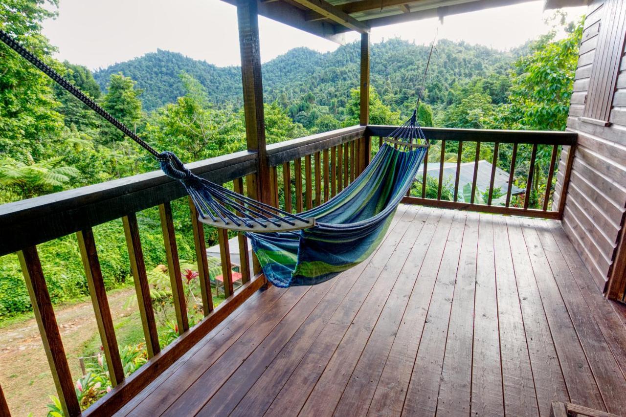Roots Jungle Retreat Villa Marigot Dış mekan fotoğraf