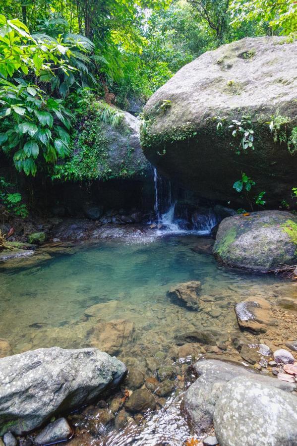 Roots Jungle Retreat Villa Marigot Dış mekan fotoğraf