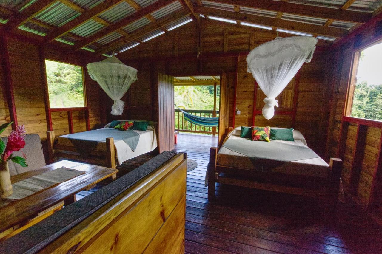 Roots Jungle Retreat Villa Marigot Dış mekan fotoğraf