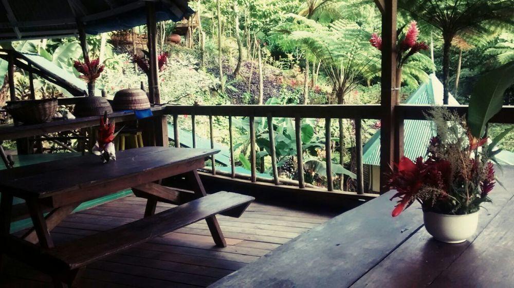 Roots Jungle Retreat Villa Marigot Dış mekan fotoğraf