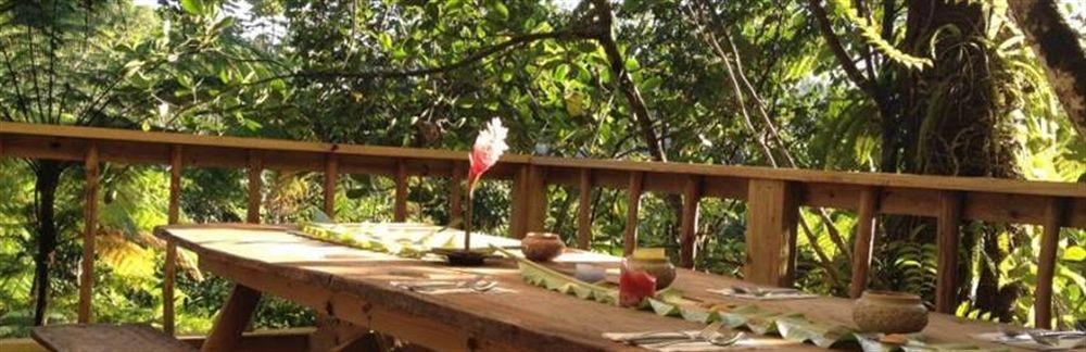 Roots Jungle Retreat Villa Marigot Dış mekan fotoğraf