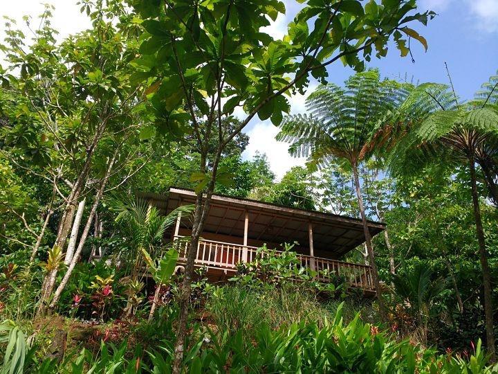 Roots Jungle Retreat Villa Marigot Dış mekan fotoğraf