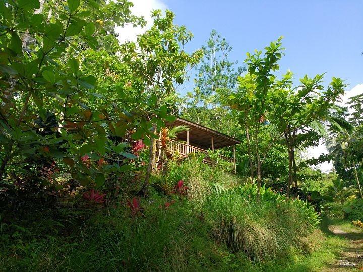 Roots Jungle Retreat Villa Marigot Dış mekan fotoğraf