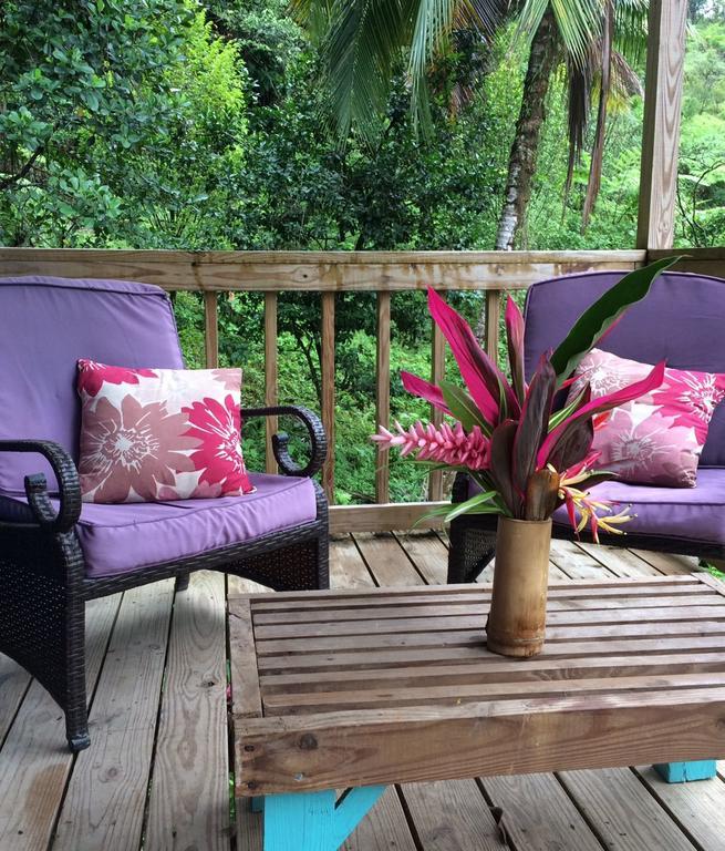 Roots Jungle Retreat Villa Marigot Dış mekan fotoğraf