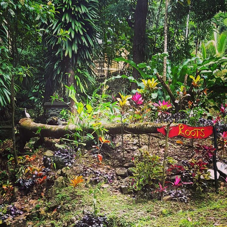 Roots Jungle Retreat Villa Marigot Dış mekan fotoğraf