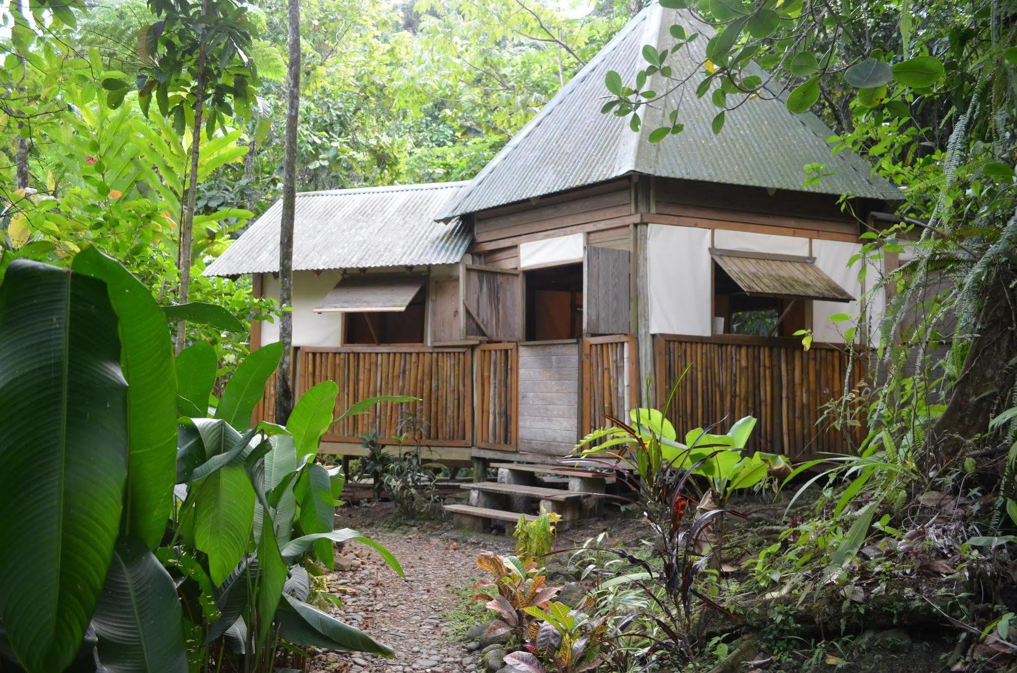 Roots Jungle Retreat Villa Marigot Dış mekan fotoğraf