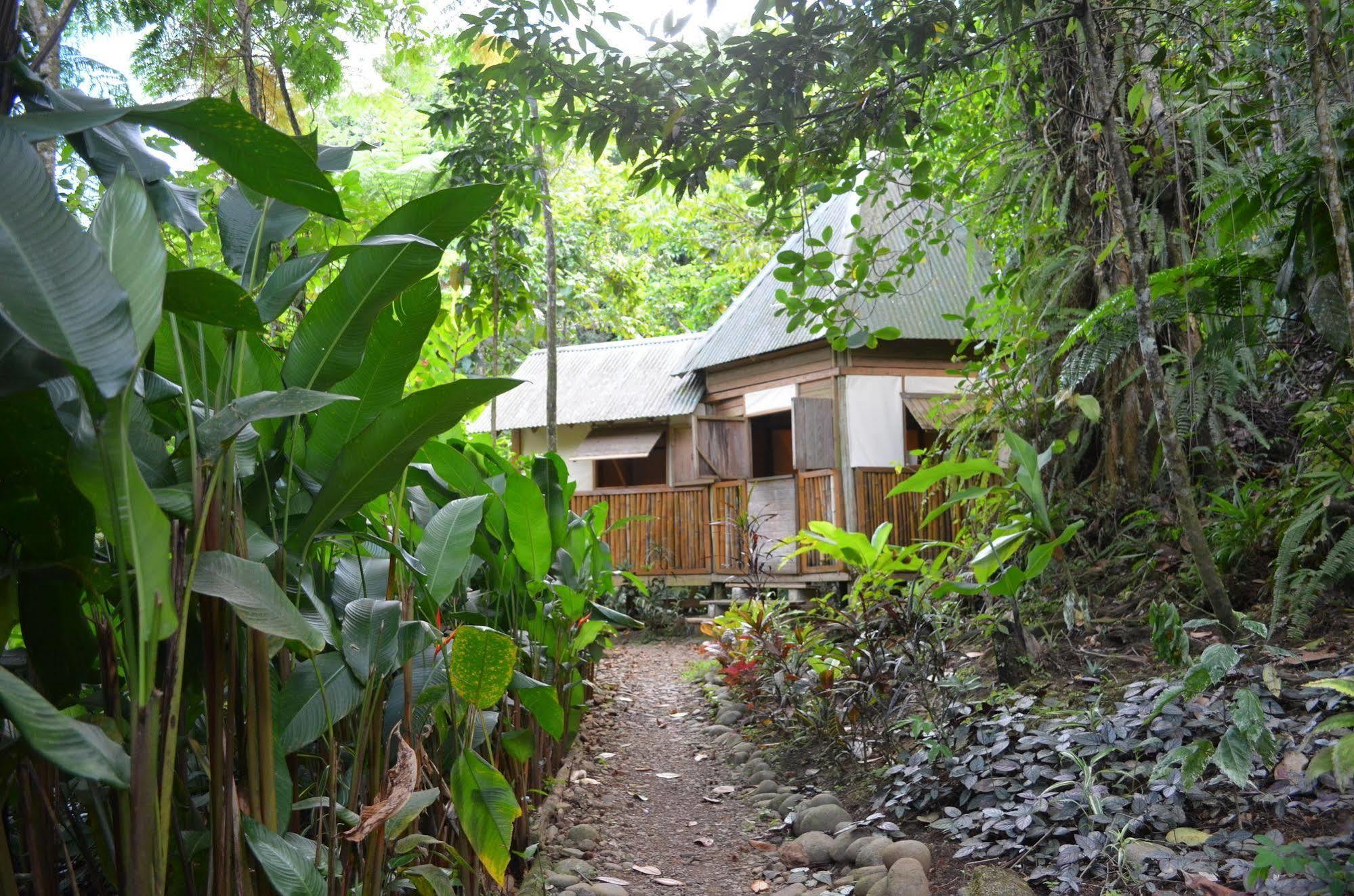 Roots Jungle Retreat Villa Marigot Dış mekan fotoğraf