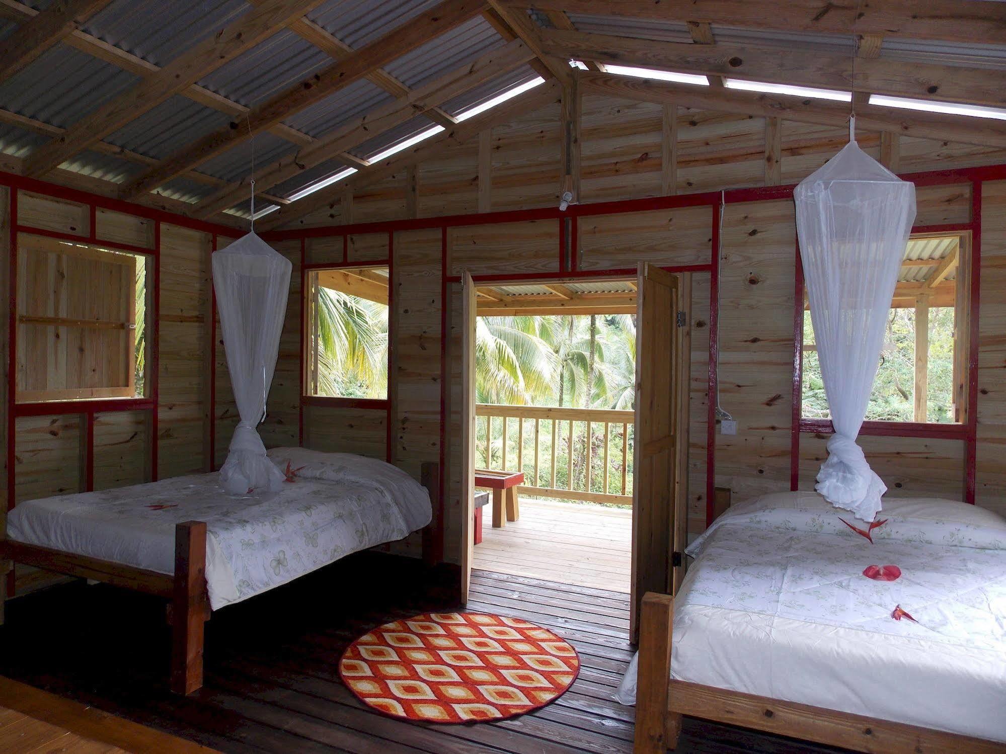 Roots Jungle Retreat Villa Marigot Dış mekan fotoğraf